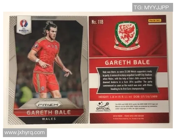 足球马赛克欧洲杯球星卡全解析 揭秘各大球星背后的精彩故事与经典瞬间